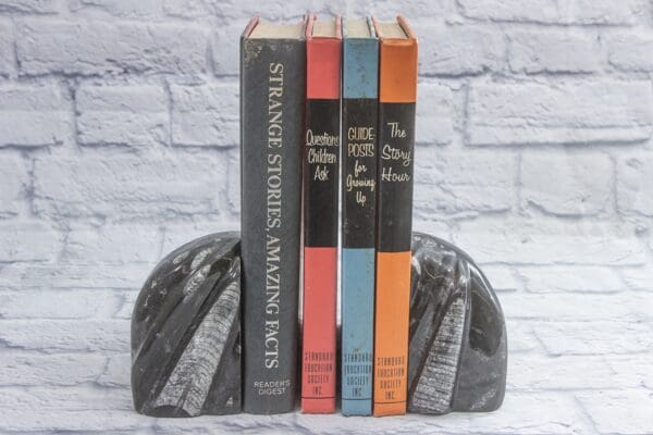 small round Orthoceras bookend with books in between both ends