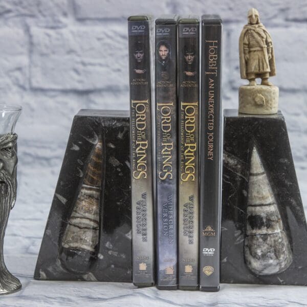 Orthoceras bookends