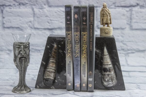 Orthoceras bookend with dvds in between the two ends