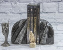 Small Round Orthoceras Bookends