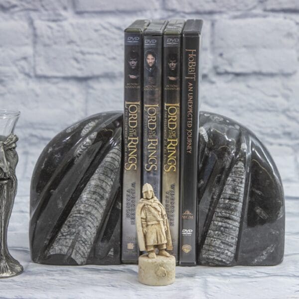 Small Round Orthoceras Bookends