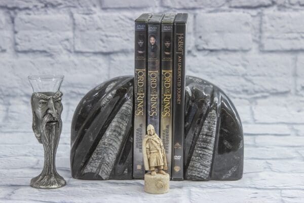 Small Round Orthoceras Bookends with DVDs in between both ends