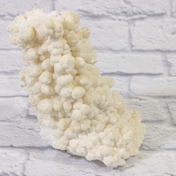 White Aragonite, Natural Kokoweef Formation (Large)