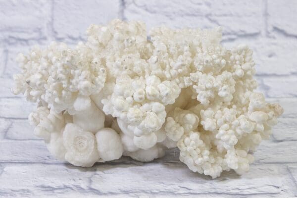 White Aragonite, Natural Kokoweef Formation