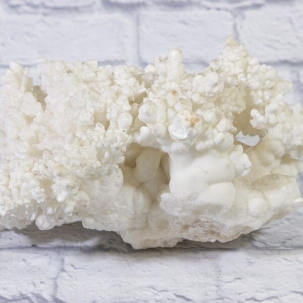 Huge White Aragonite, Natural Kokoweef Formation (RARE)