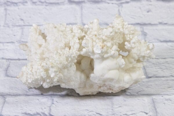 White Aragonite, Natural Kokoweef Formation