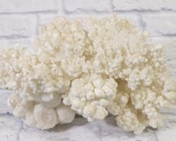 Huge White Aragonite, Natural Kokoweef Formation (RARE)