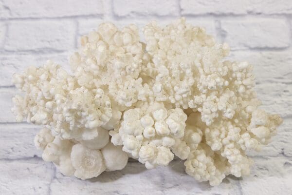 White Aragonite, Natural Kokoweef Formation