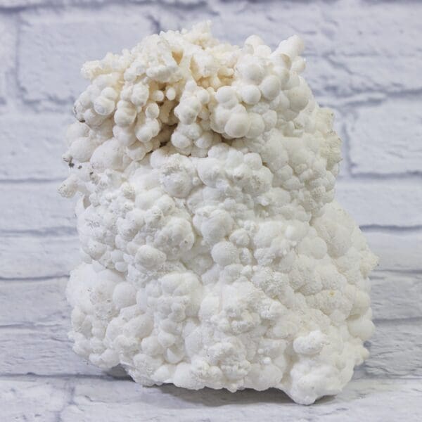 White Aragonite, Natural Kokoweef Formation (LARGE)