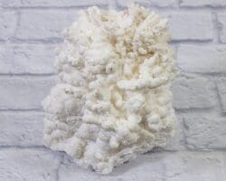 White Aragonite, Natural Kokoweef Formation (LARGE)