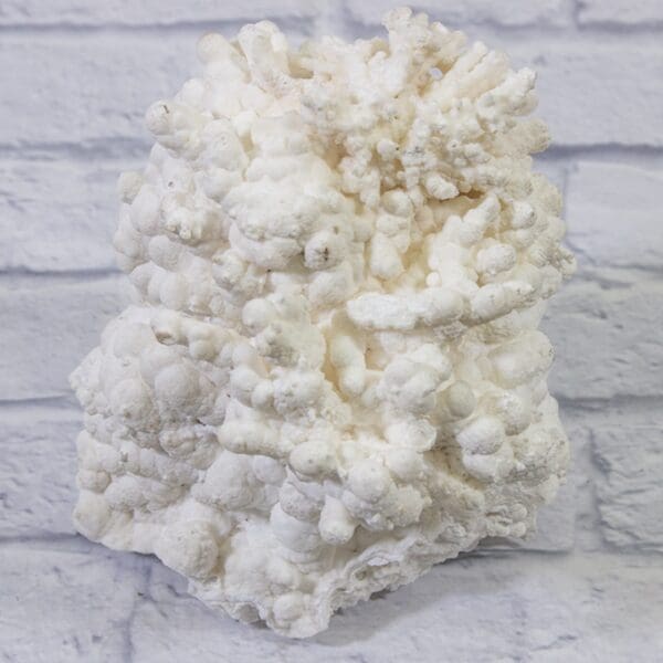 White Aragonite, Natural Kokoweef Formation (LARGE)