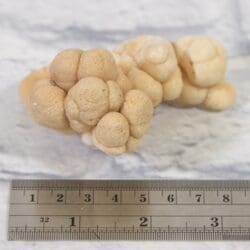 Natural Kokoweef, white Aragonite Formation