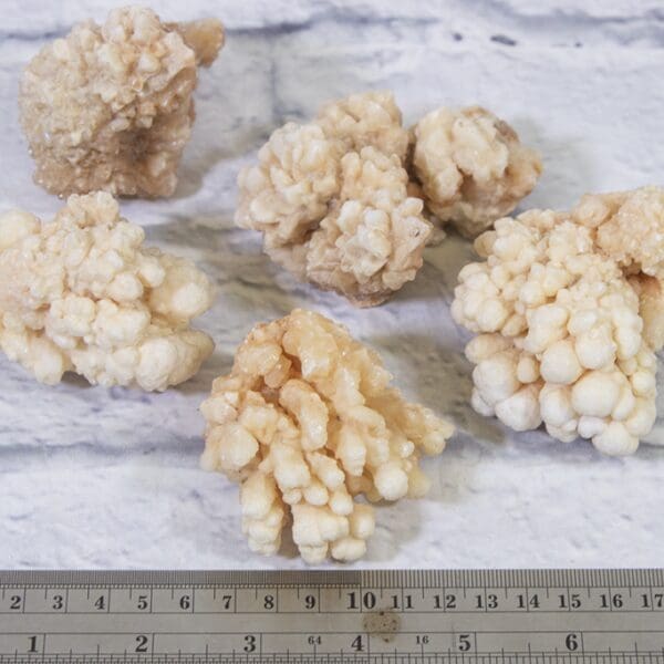 Natural Kokoweef, Honey Aragonite 5 pcs set