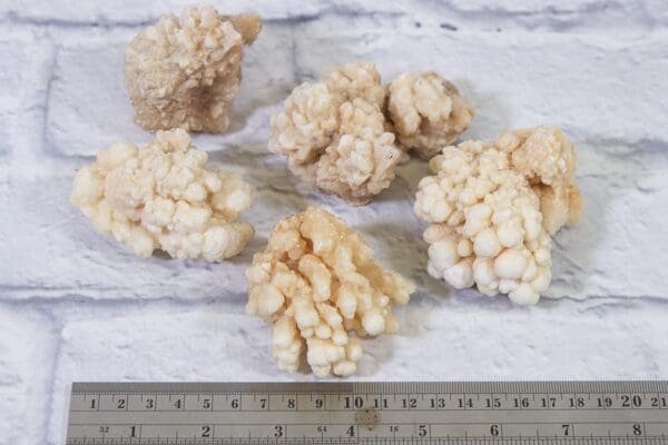 Natural Kokoweef, Honey Aragonite 5 pcs set