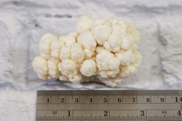 Natural Kokoweef, white Aragonite Formation