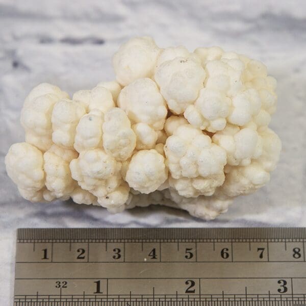 Natural Kokoweef, white Aragonite Formation