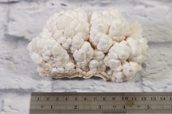 White Aragonite, Natural Kokoweef Formation