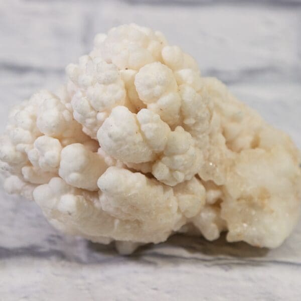 White Aragonite, Natural Kokoweef Formation 5in