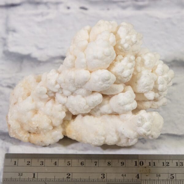 White Aragonite, Natural Kokoweef Formation 5in