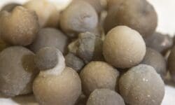 Womb Balls, Botryoidal Chalcedony Nodules