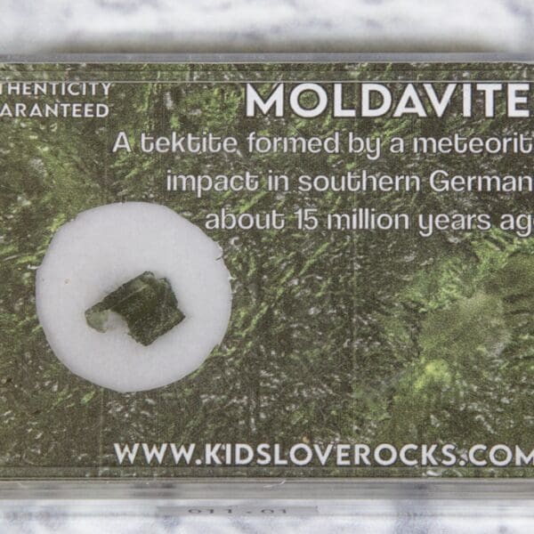 Moldavite in Protective Case .5-.6 Grams