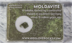Moldavite in Protective Case .5-.6 Grams