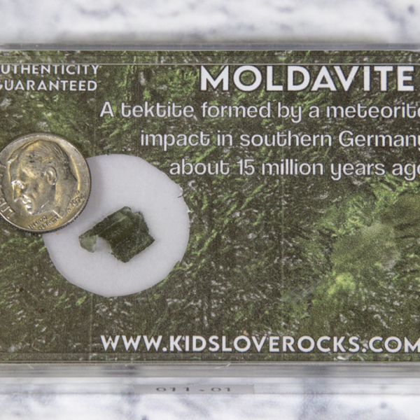 Moldavite in Protective Case .5-.6 Grams