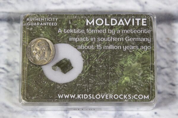 Moldavite in Protective Case