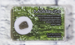 Moldavite in Protective Case .3-.4 grams