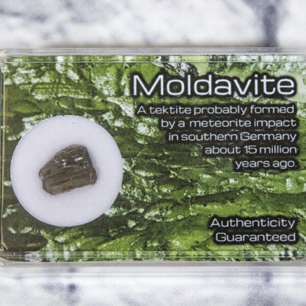 Moldavite in Protective Case .3-.4 grams