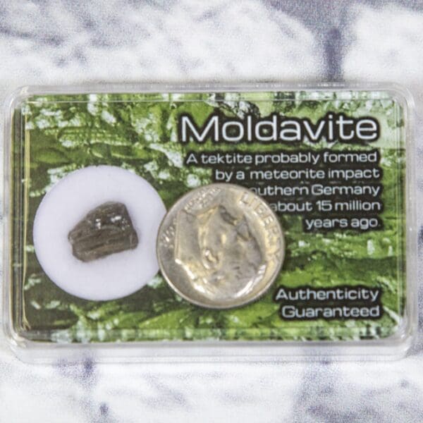 Moldavite in Protective Case .3-.4 grams