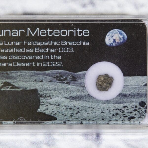 Lunar Meteorite in Protective Case