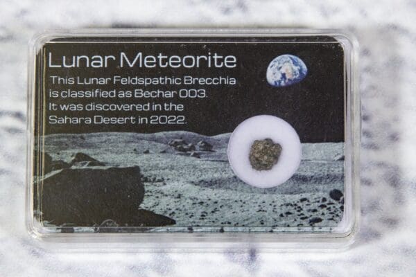 piece of lunar meteorite in protective case