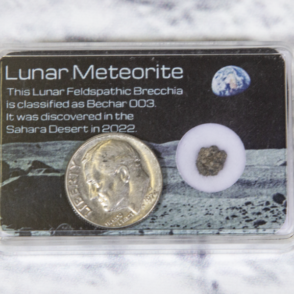 Lunar Meteorite in Protective Case